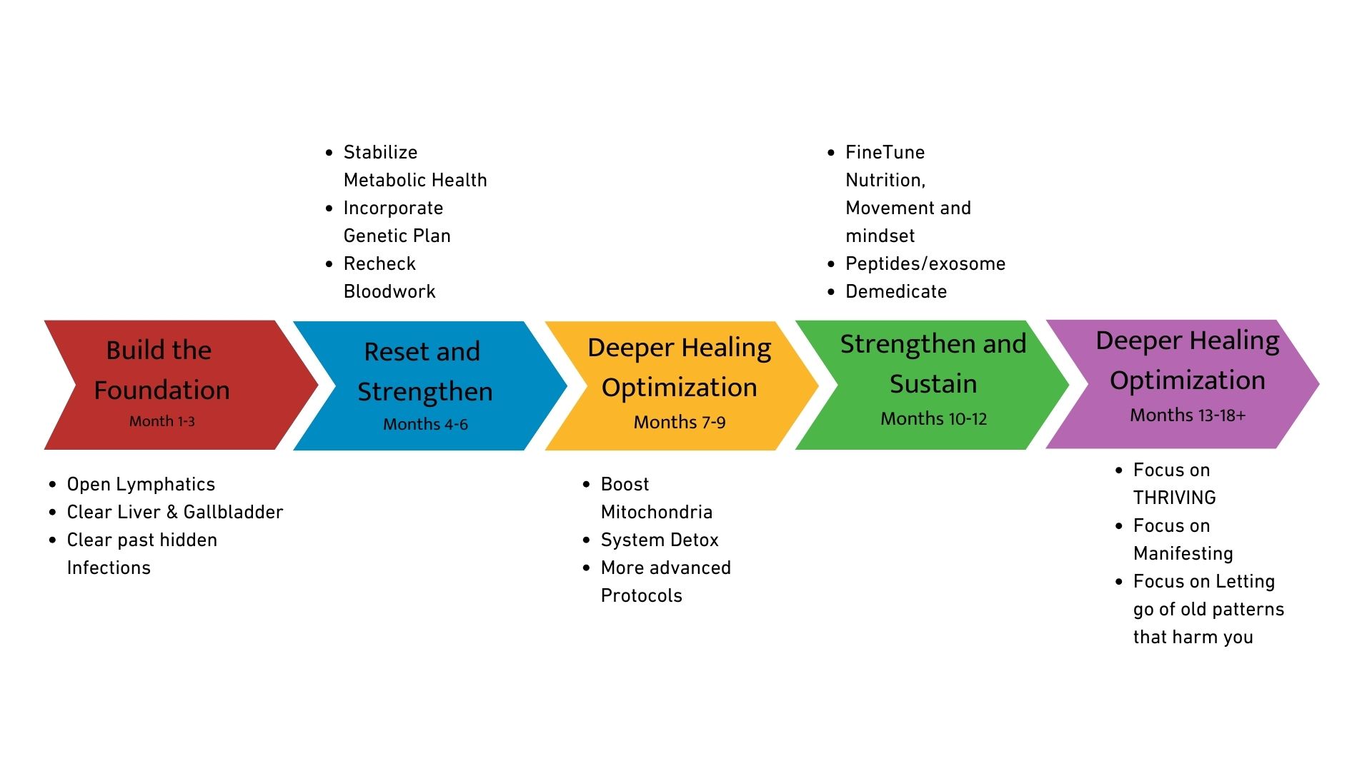 Program Timeline - From Foundation to Thriving
