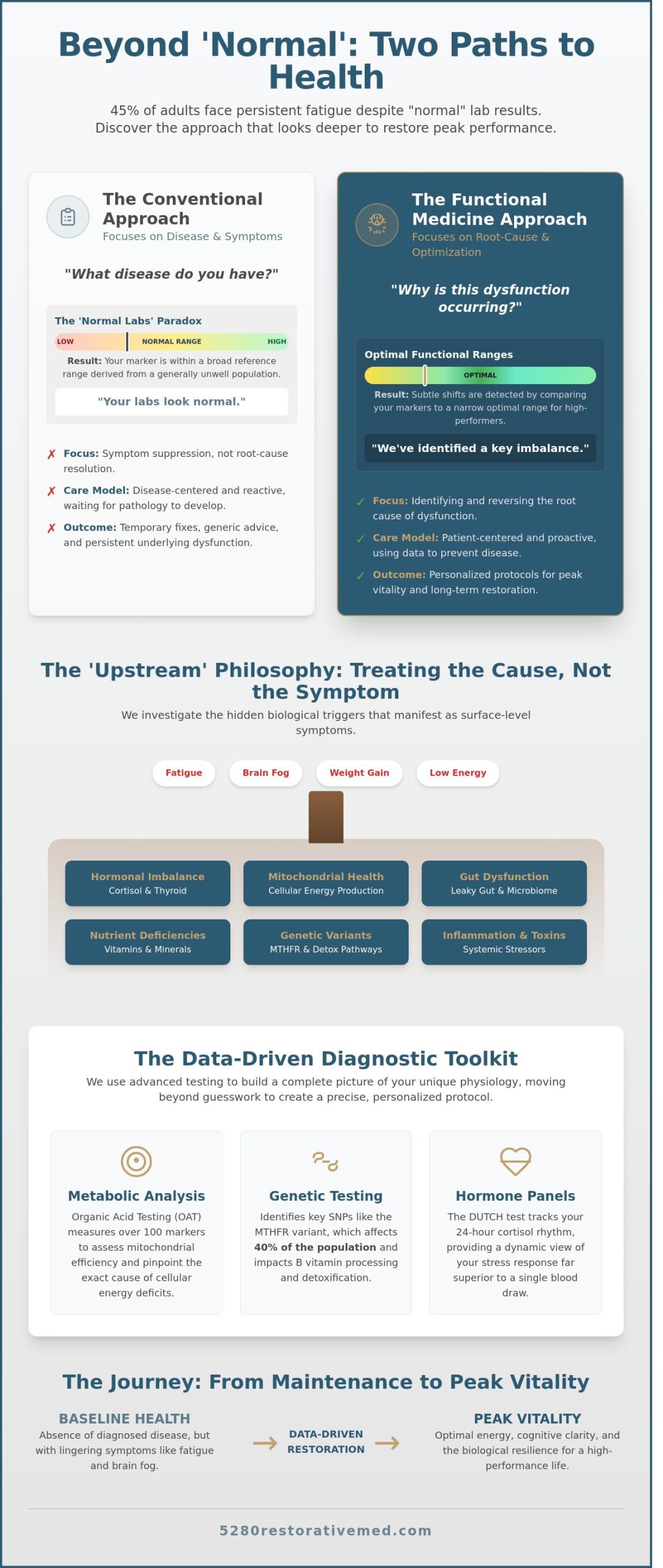 What is a Functional Medicine Practice? A Guide to Root-Cause Health Optimization