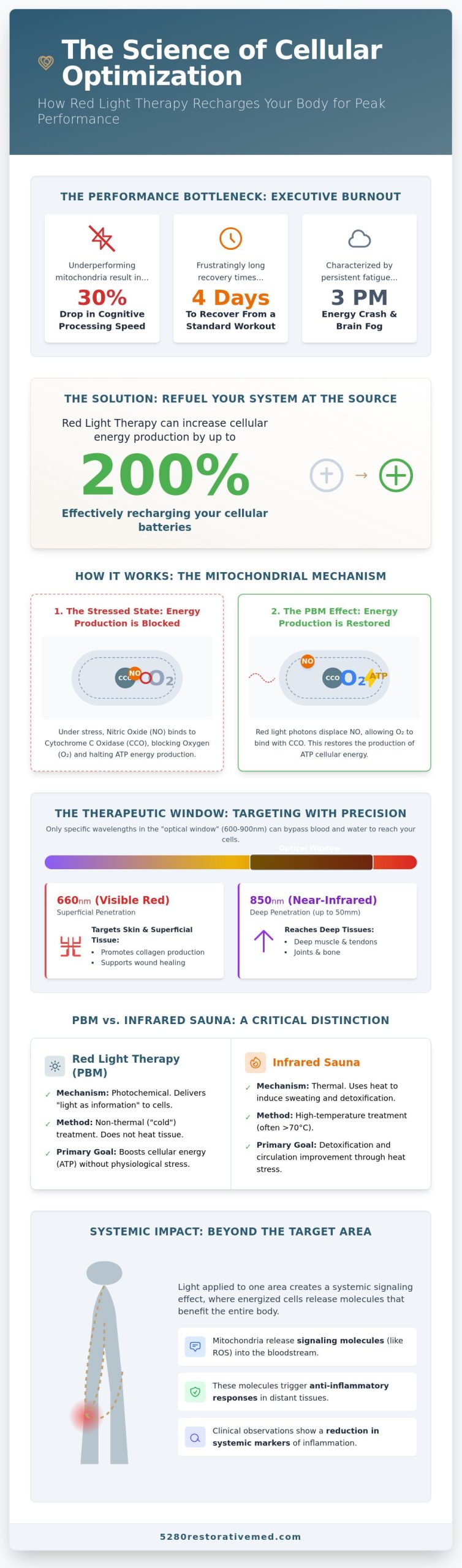 Red Light Therapy: A Clinical Guide to Mitochondrial Optimization and Peak Performance