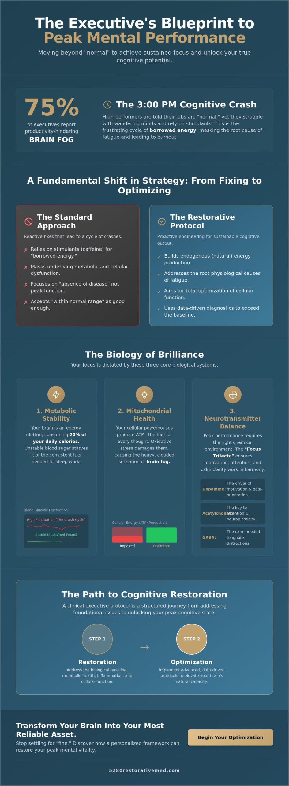 Biohacking for Focus and Mental Clarity: A High-Performer’s Guide to Cognitive Optimization