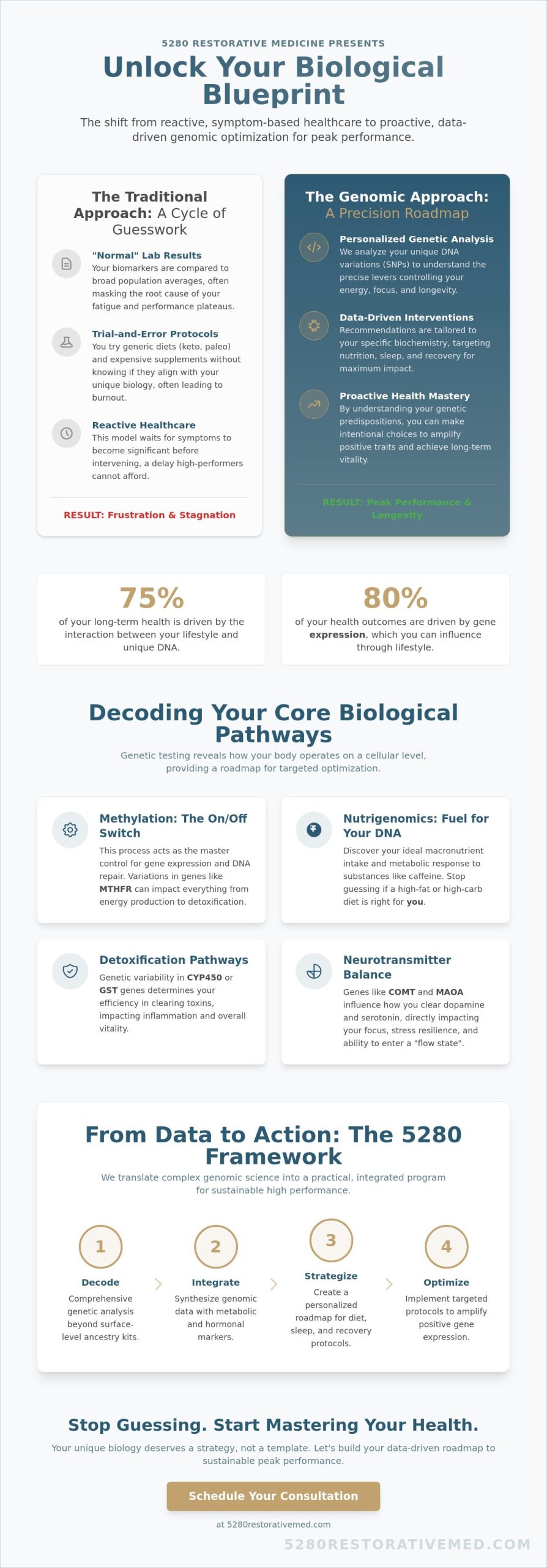 Genetic Testing for Personalized Health: A High-Performer’s Guide to Genomic Optimization