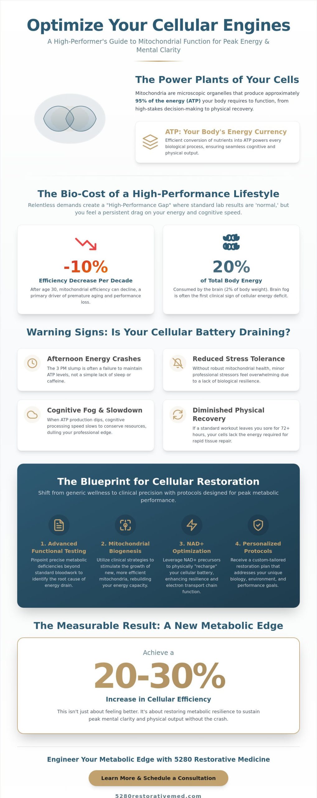 How to Optimize Mitochondrial Function for Energy: The Executive Guide to Cellular Resilience