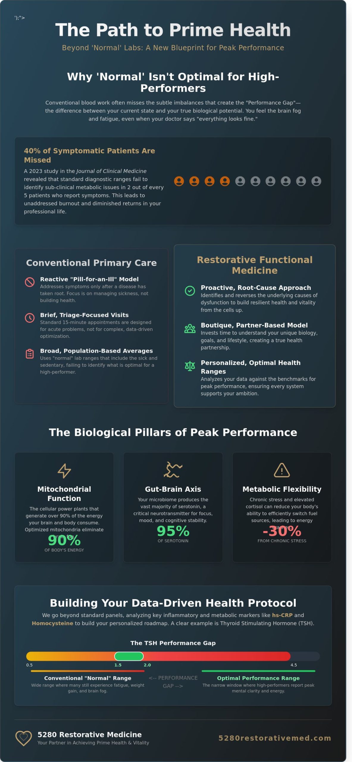 Navigating Prime Health: The High-Performer’s Guide to Functional Medicine in 2026