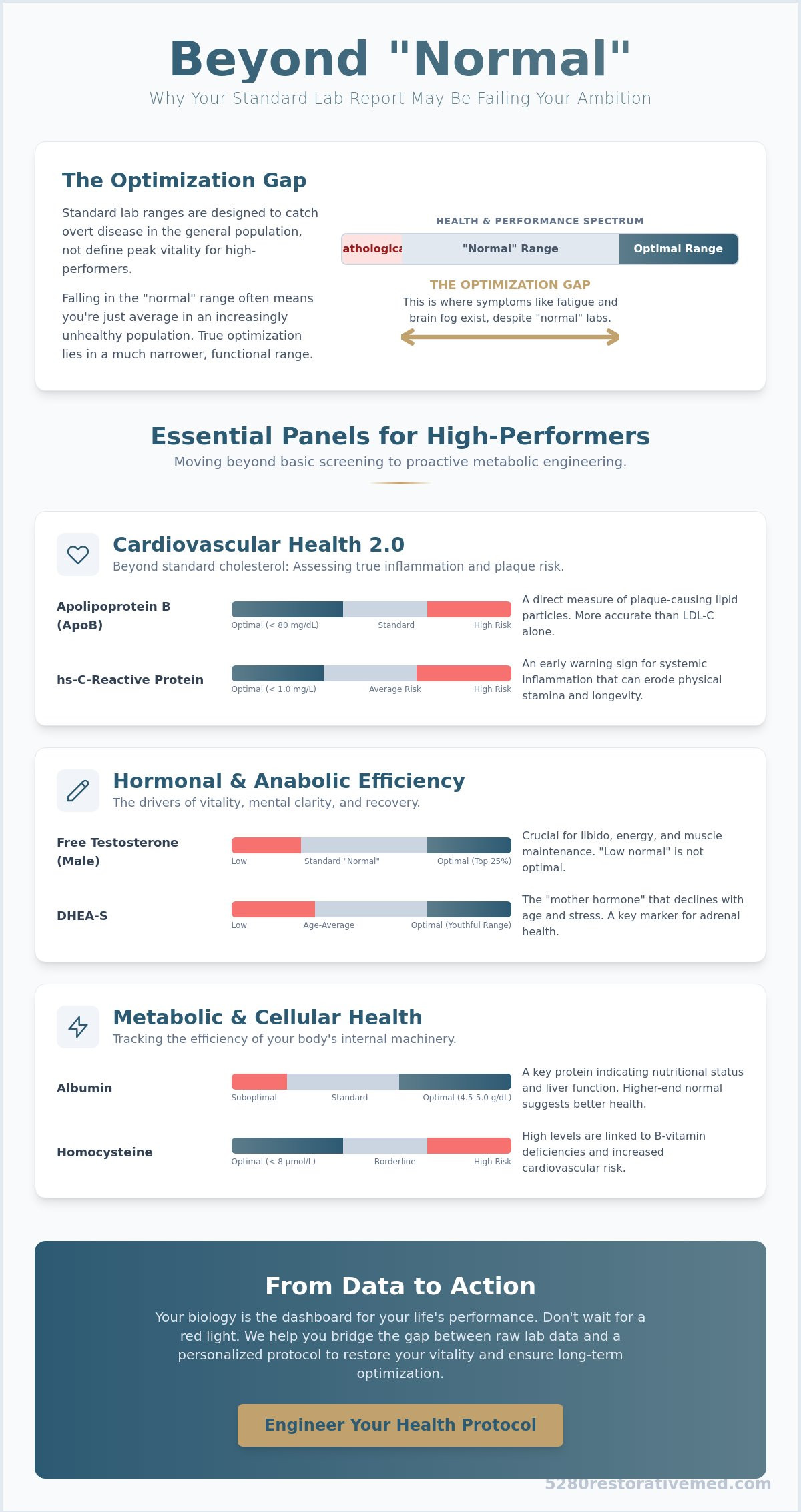 Interpreting Your Own Blood Test Results: A High-Performer’s Guide to Optimization