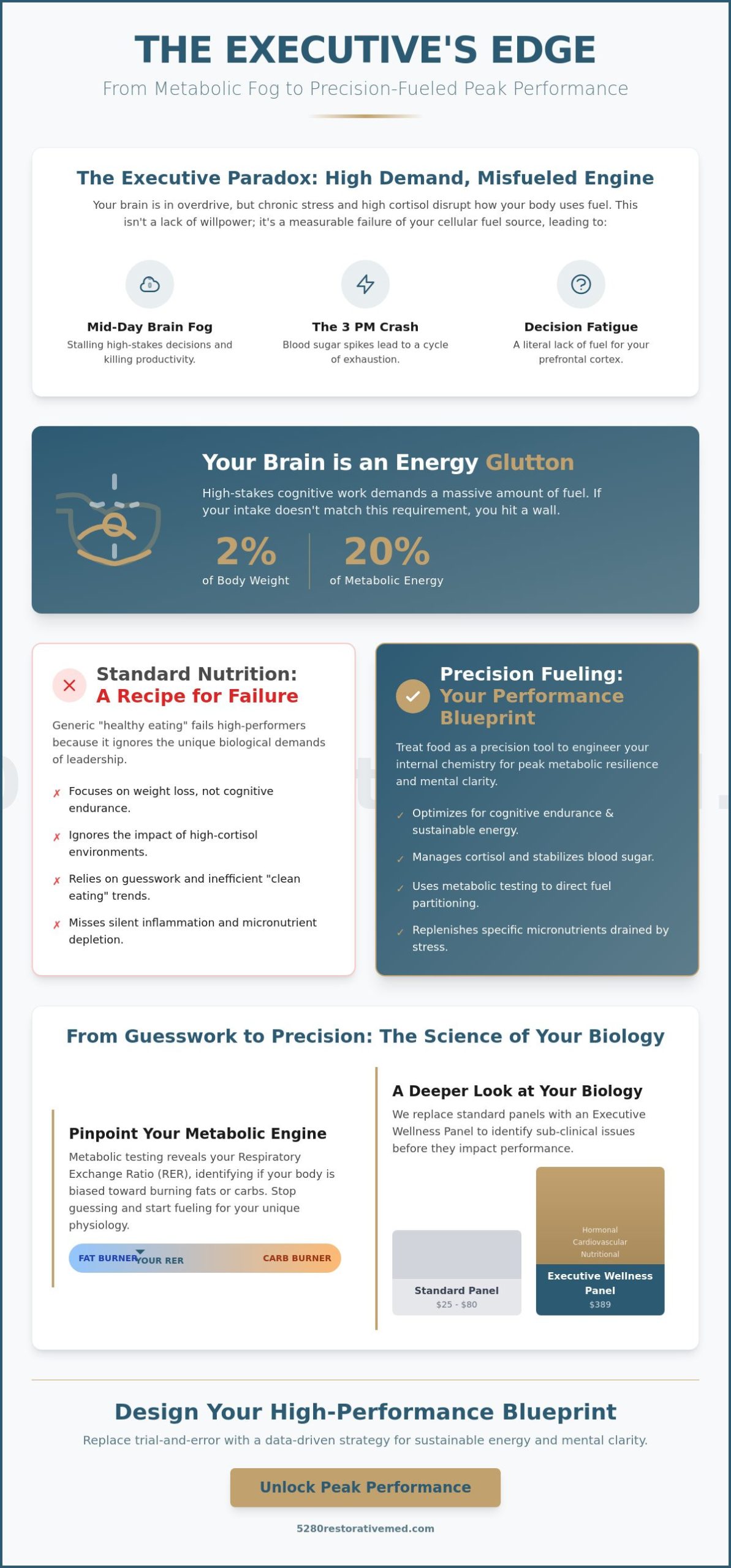 Nutritional Counseling for Busy Executives: Engineering Peak Metabolic Performance