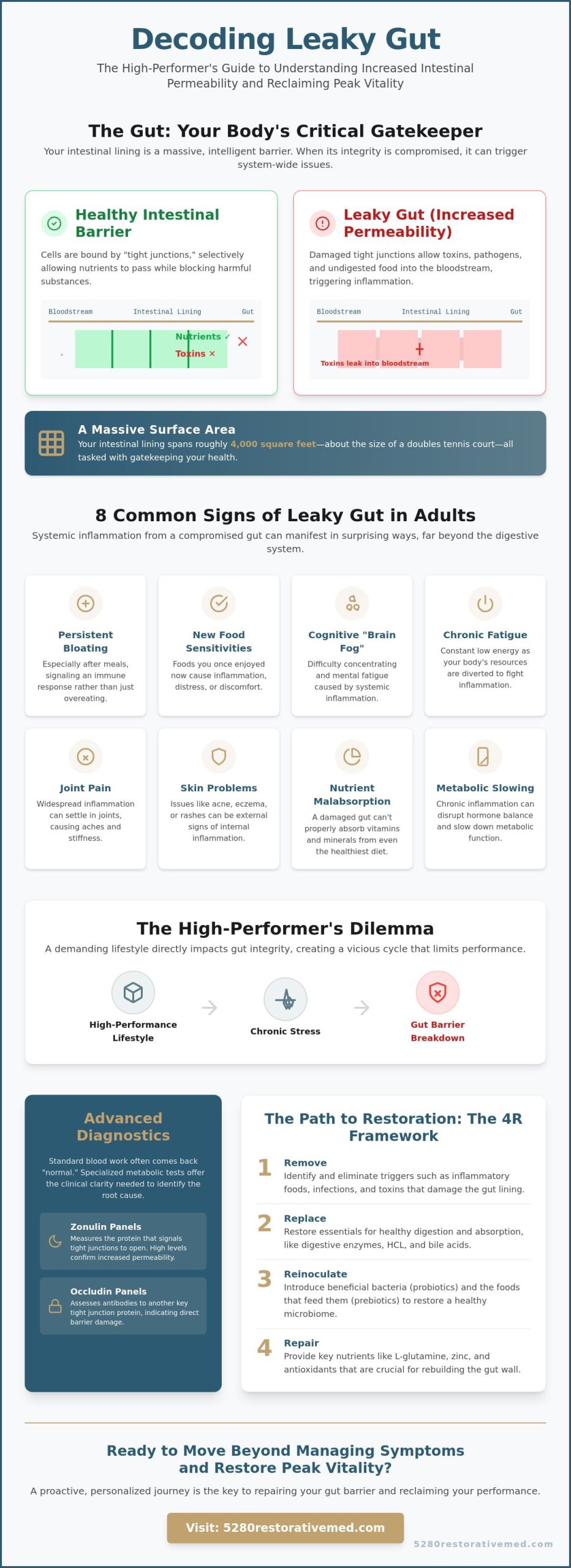 Signs of Leaky Gut in Adults: Recognizing the Systemic Impact on Performance