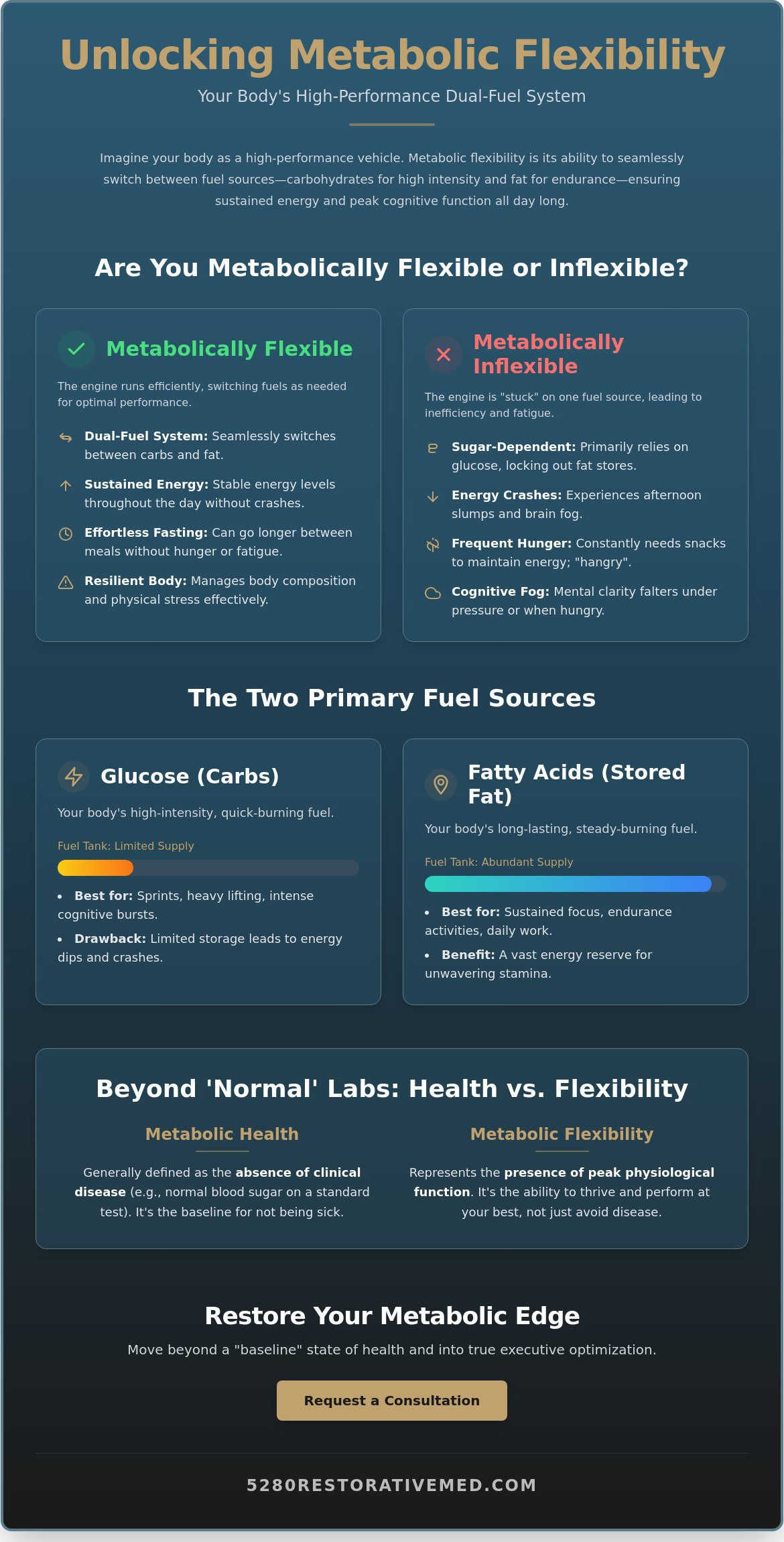What Is Metabolic Flexibility and Why It Matters for High-Performers