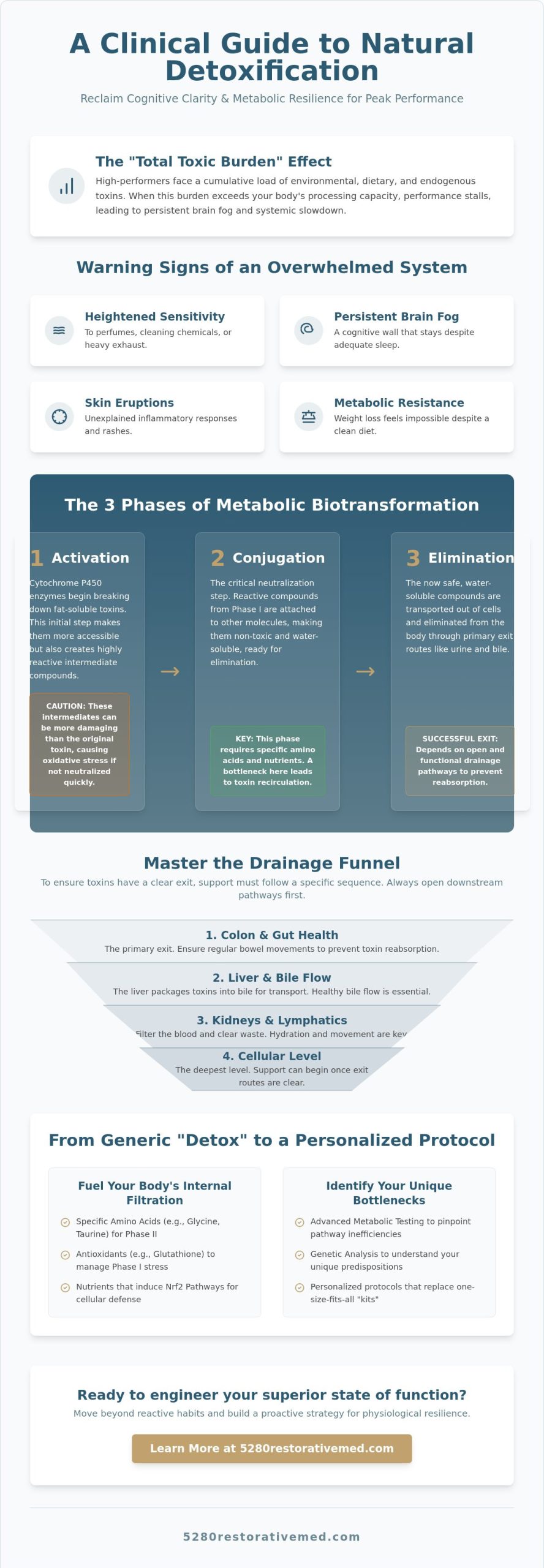 How to Support Detoxification Pathways Naturally: A Clinical Guide for High-Performers