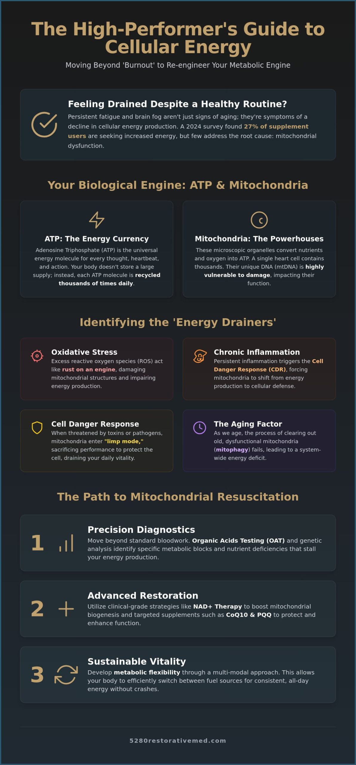 How to Improve Cellular Energy Production: A Clinical Guide to Mitochondrial Optimization