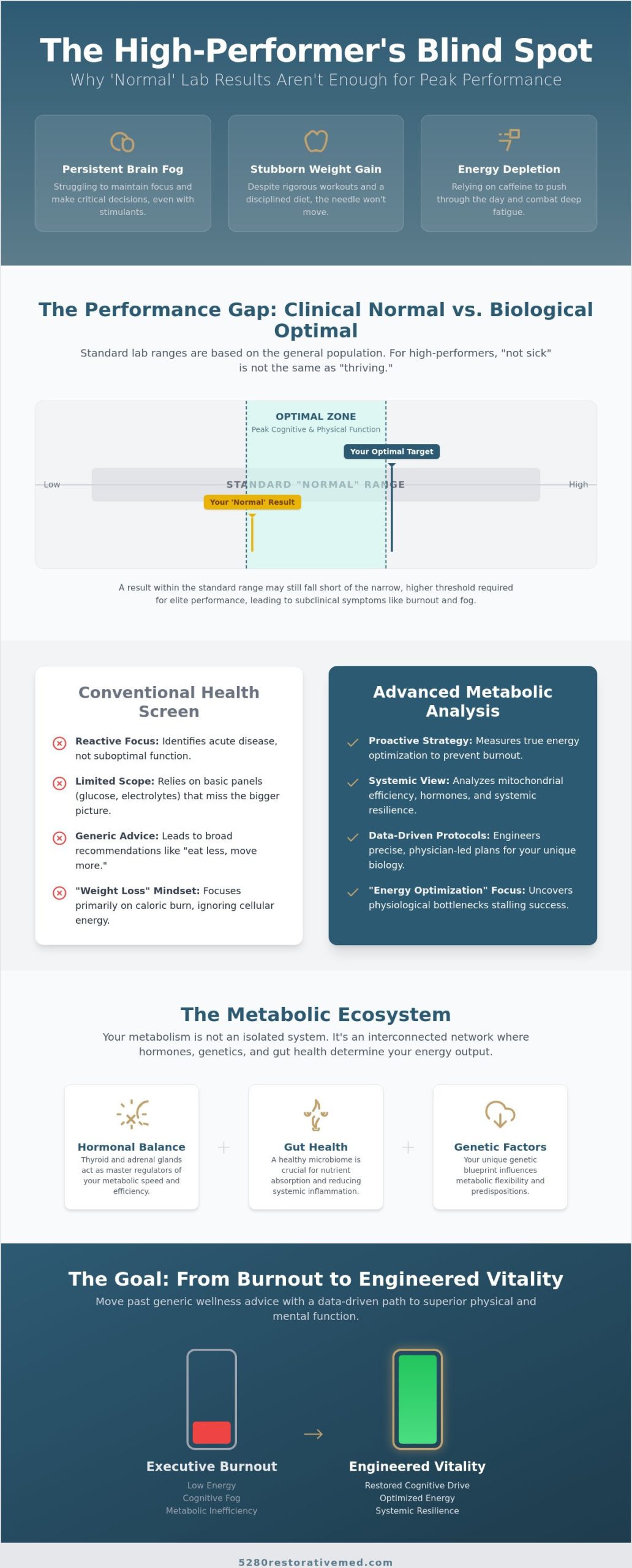 Metabolic Testing Denver: The Executive Guide to Biological Performance