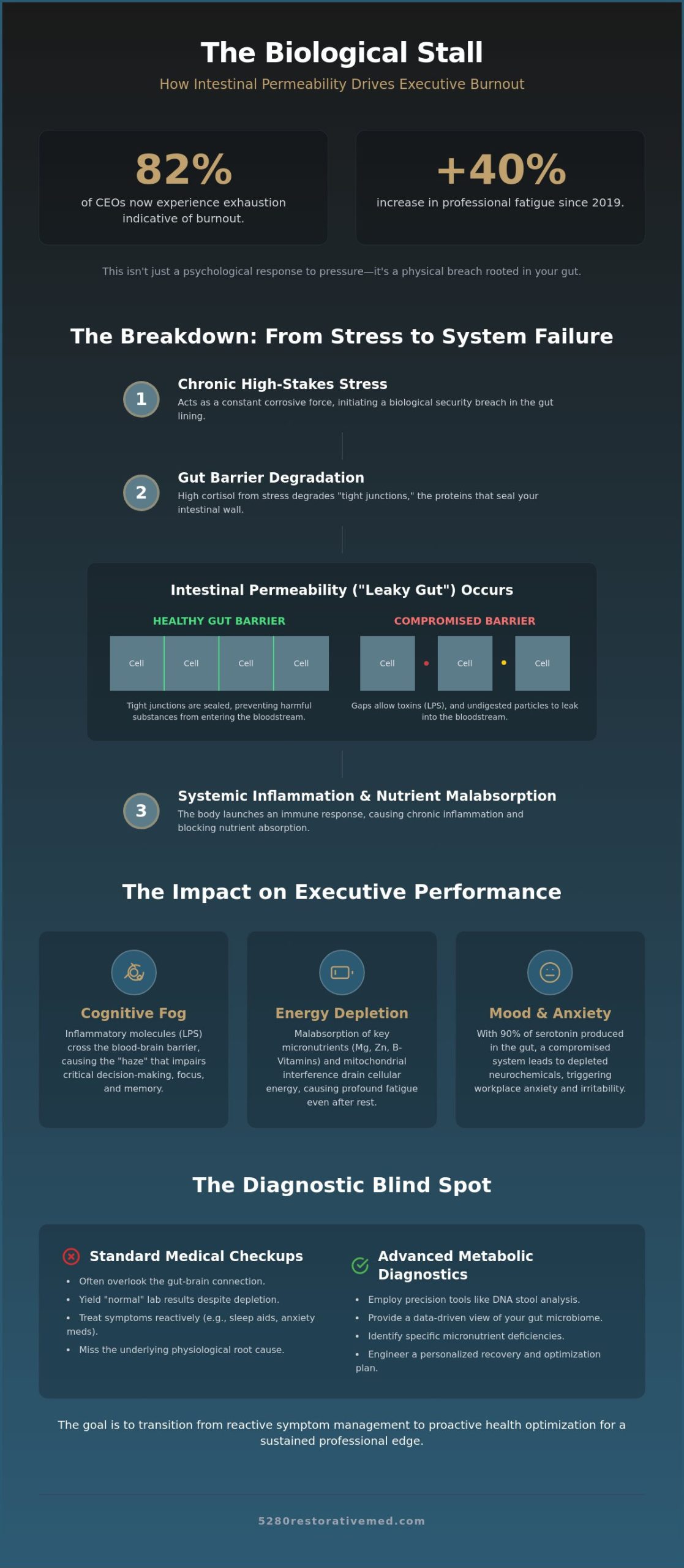 Leaky Gut and Executive Burnout: The Biological Root of High-Performance Stall