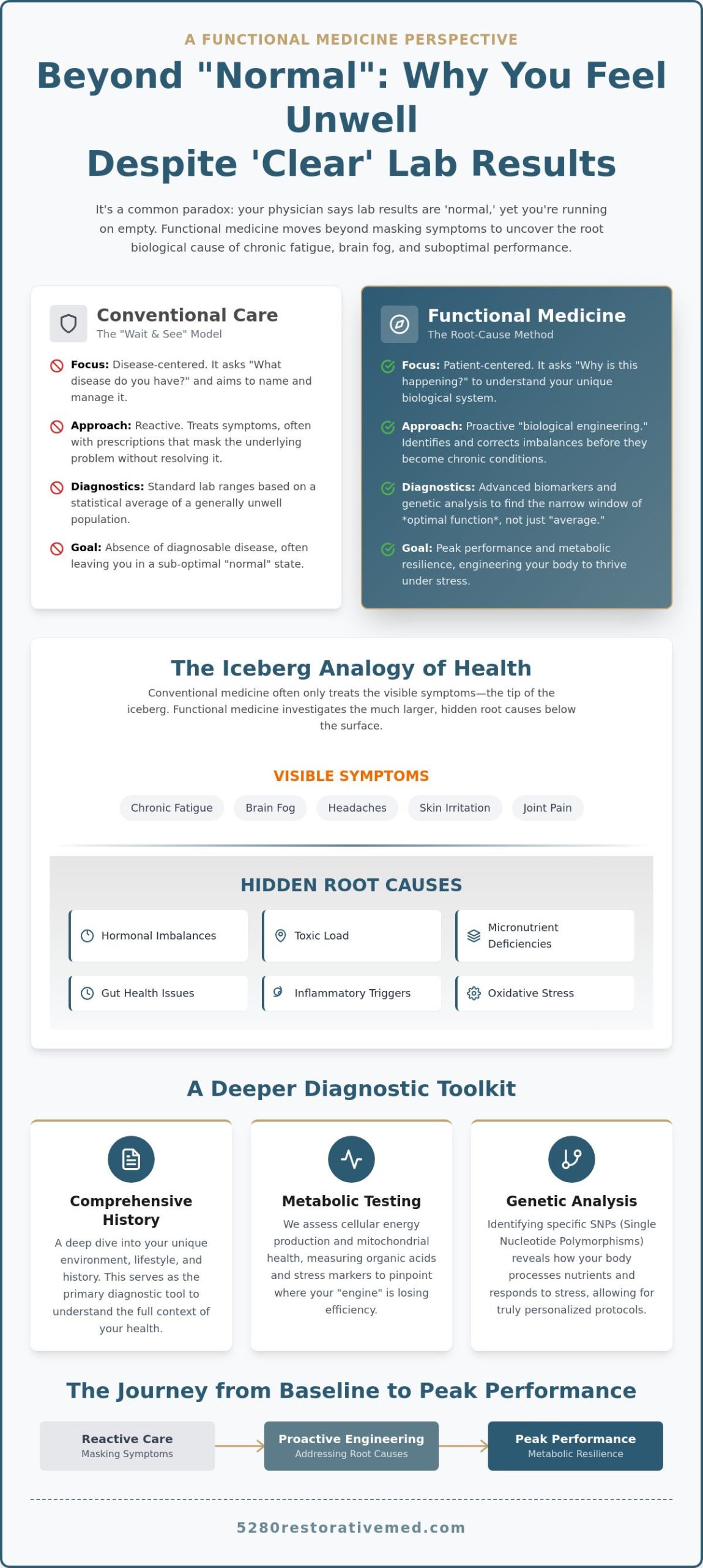 How Does Functional Medicine Work? A Guide to Root-Cause Optimization