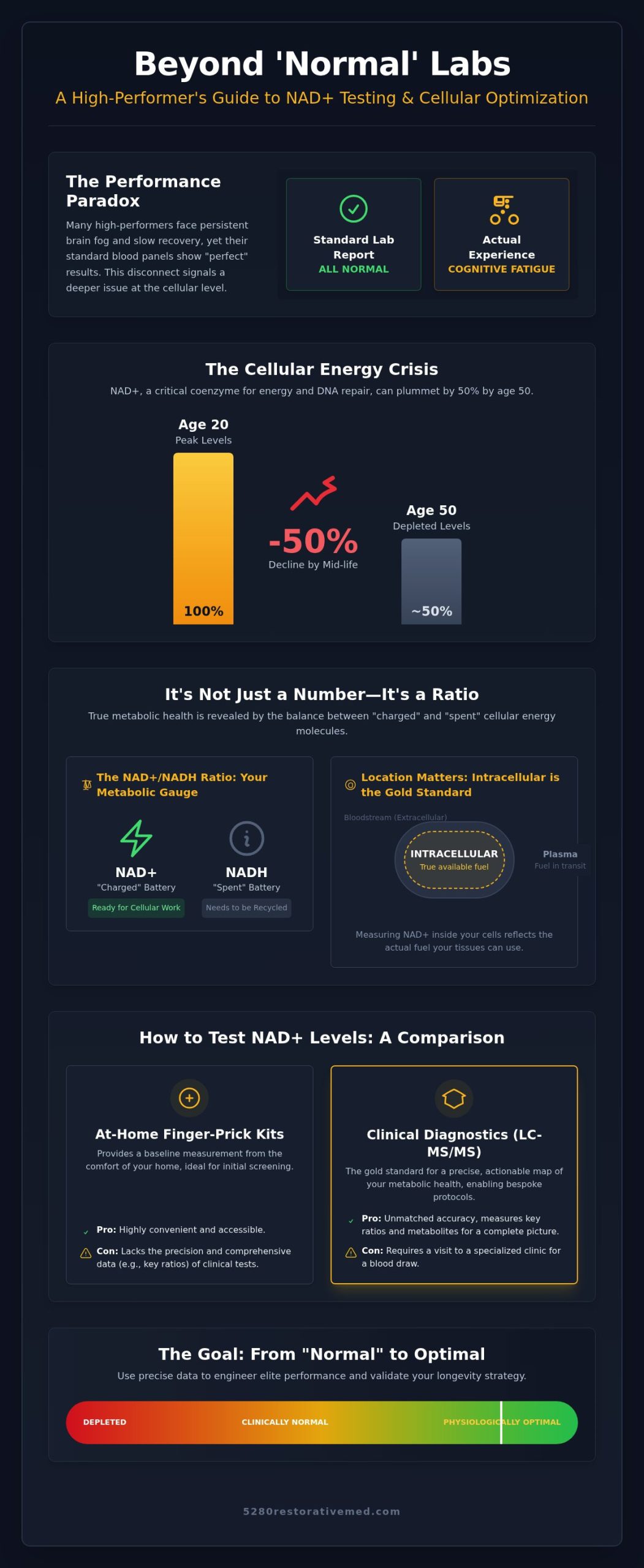 How to Test NAD+ Levels: A Clinical Guide for Executive Performance in 2026