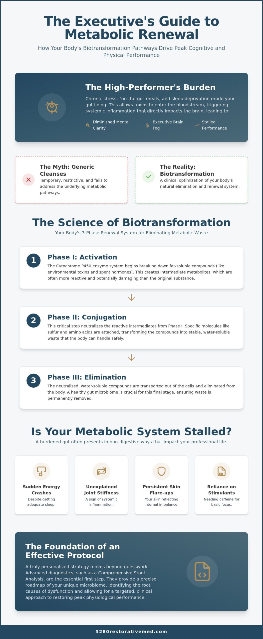 Gut Health Protocol: High-Performer’s Metabolic Renewal
