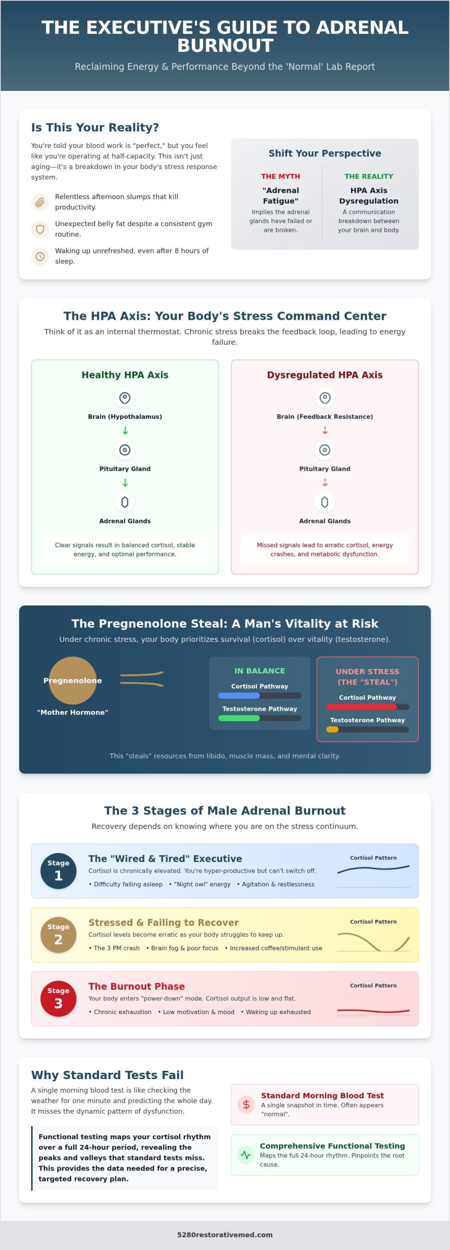 Adrenal Fatigue Symptoms in Men: A Clinical Guide to HPA Axis Dysregulation (2026)